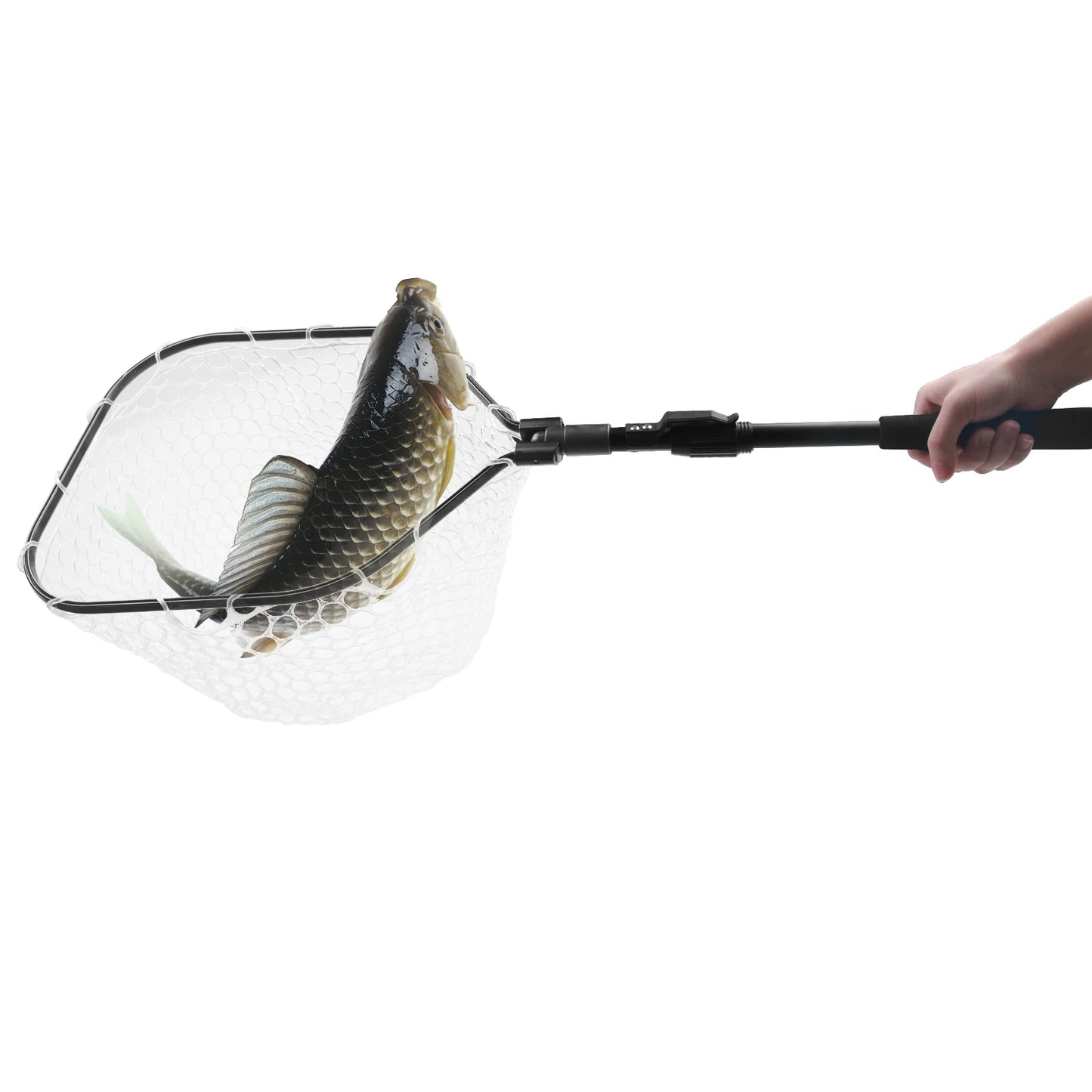 Fishing Net