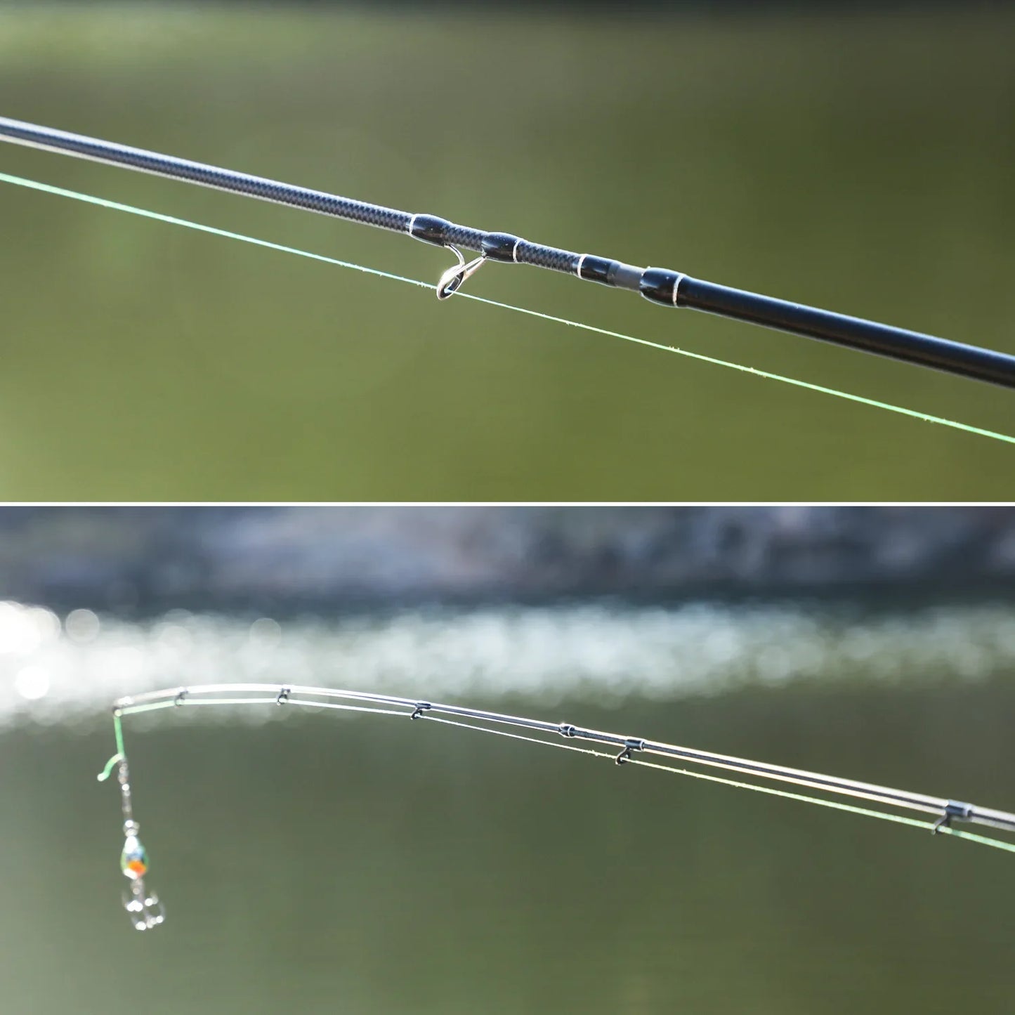 Fishing Rod